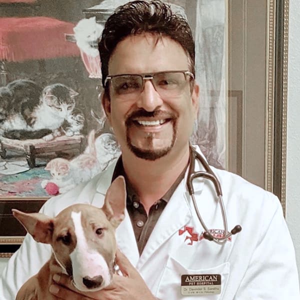 Dr. Davinder Sandhu, Modesto Veterinarian